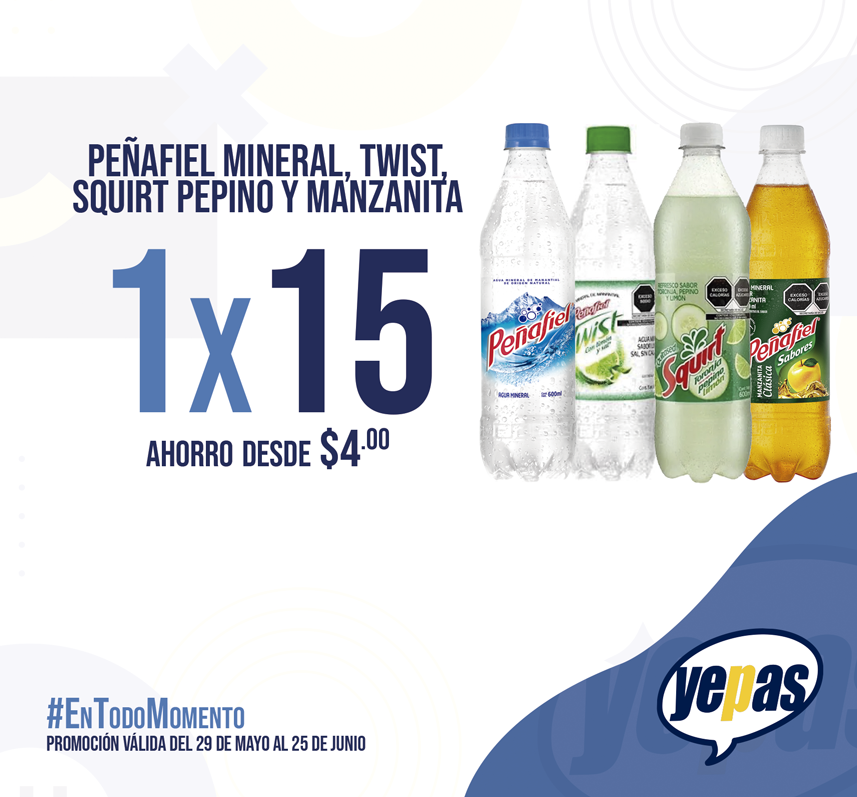 R-CH-PEÑAFIEL-600ML