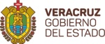 logo-veracruz-1